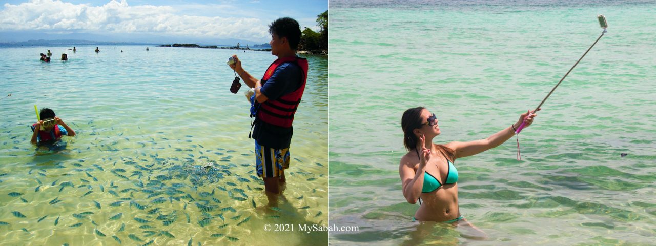 Tourists on the island