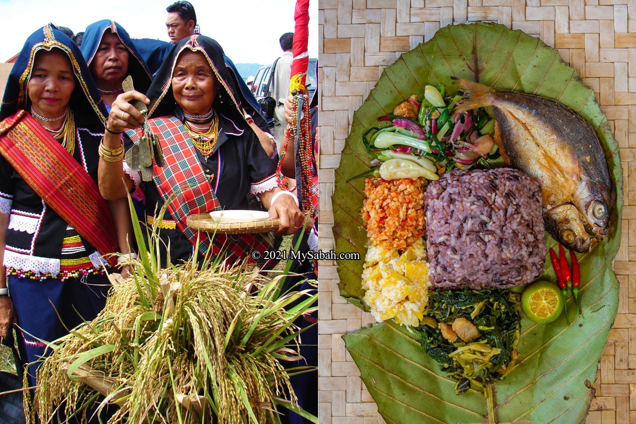Left: Bobolians (High Priest) of Kadazandusun appease the paddy spirits to pray for a bountiful harvest. Right: Linopot and its dishes