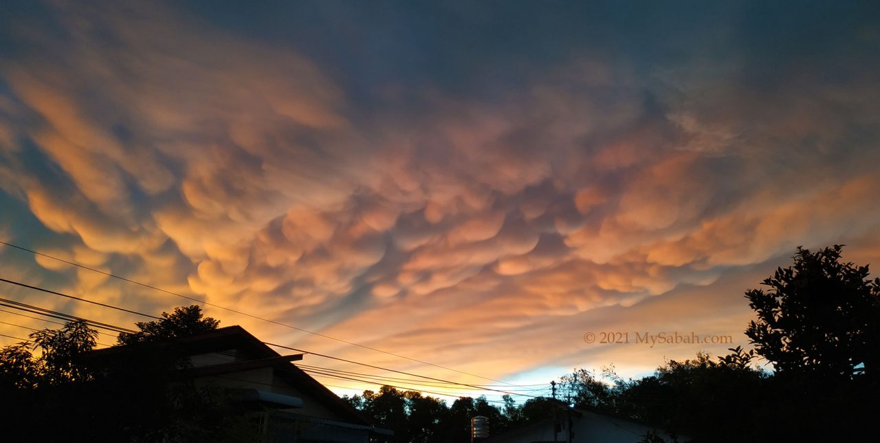 Mammatus clouds of Sabah