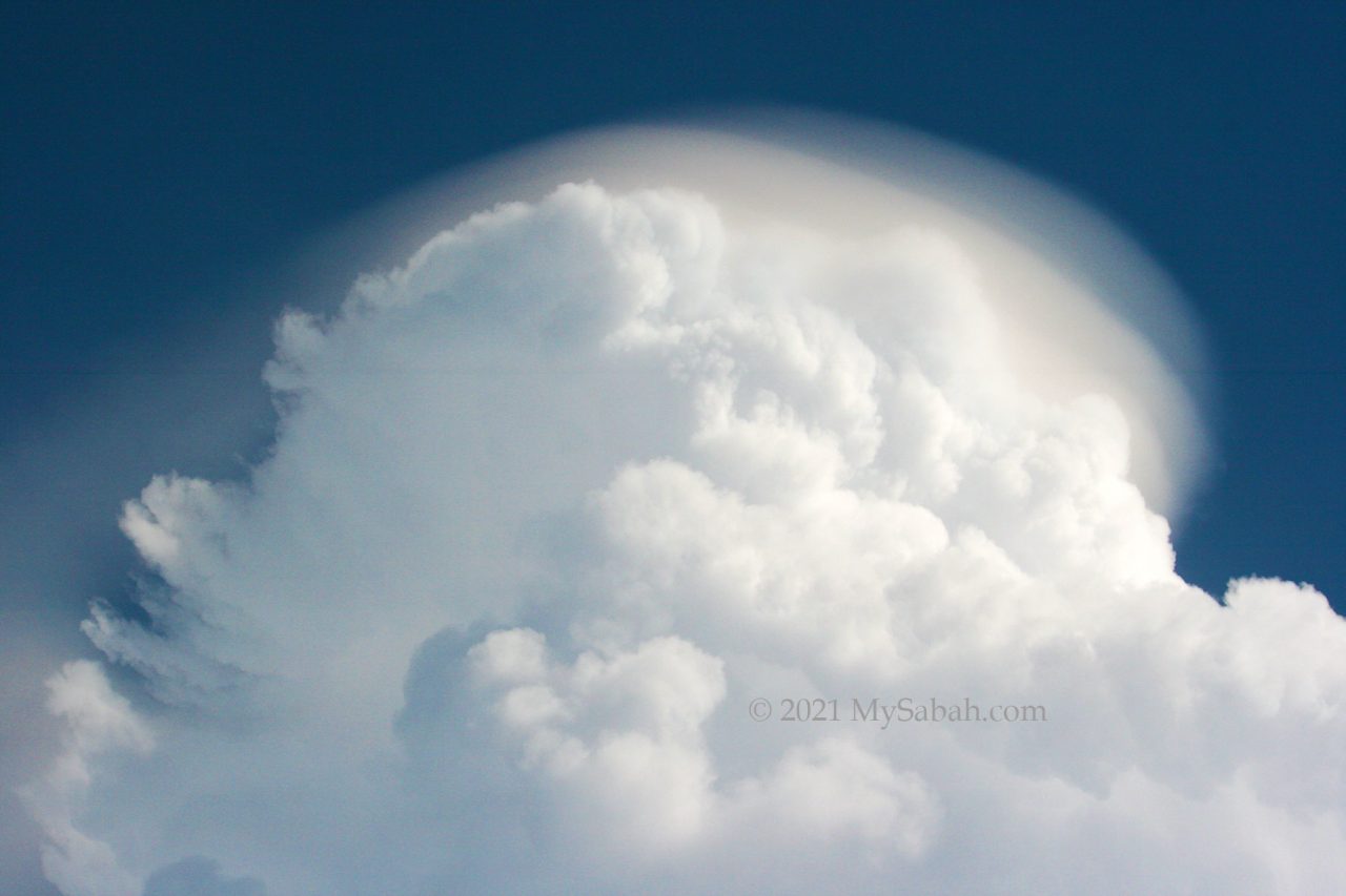 Cap Cloud / Pileus