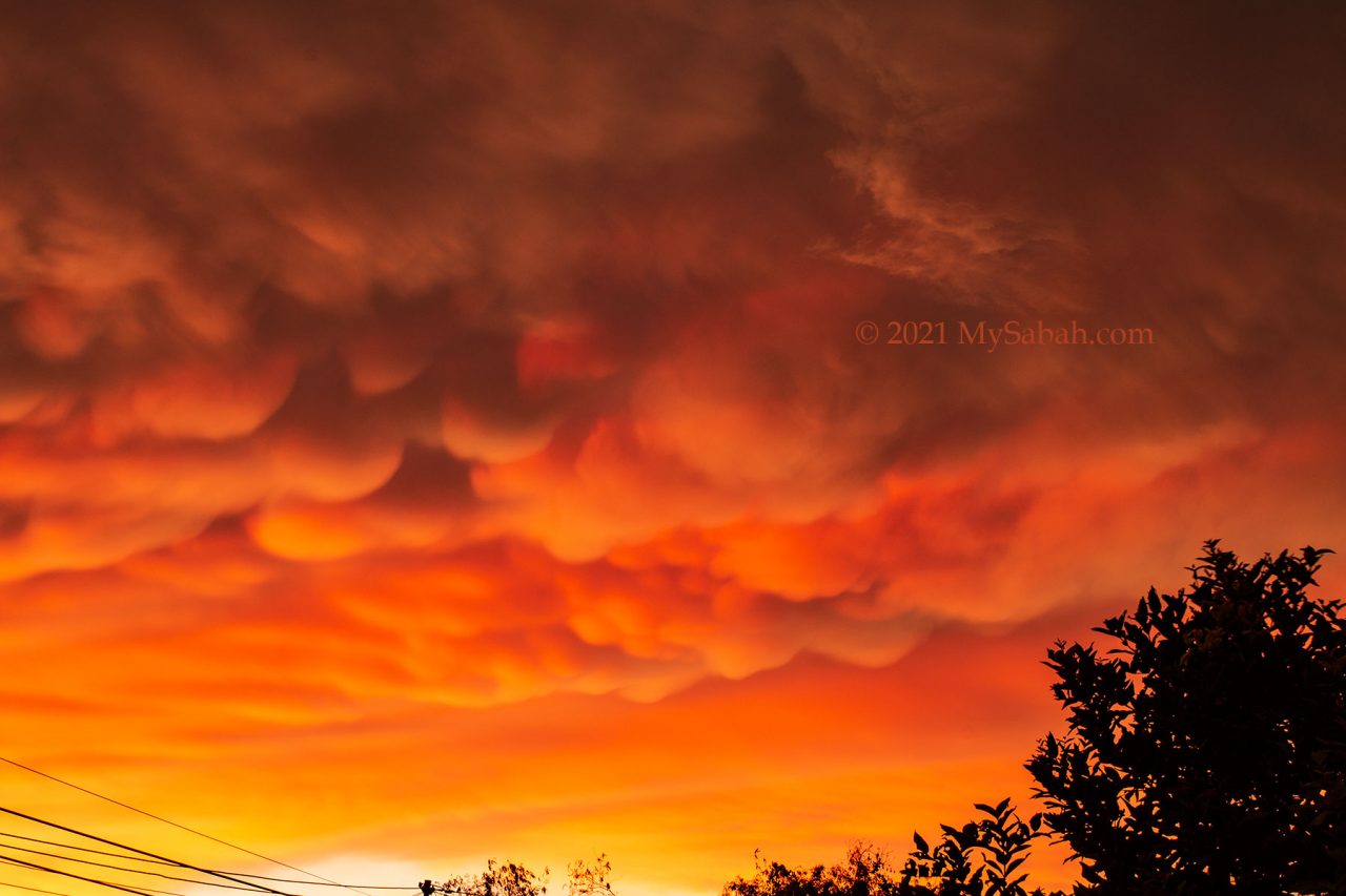 Mammatus clouds / mammatocumulus