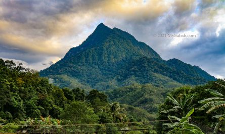 Mount Nungkok in Kampung Tambatuon of Kota Belud