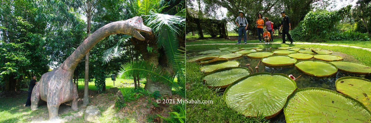Plant Evolution and Adaptation Garden of Sabah Agriculture Park