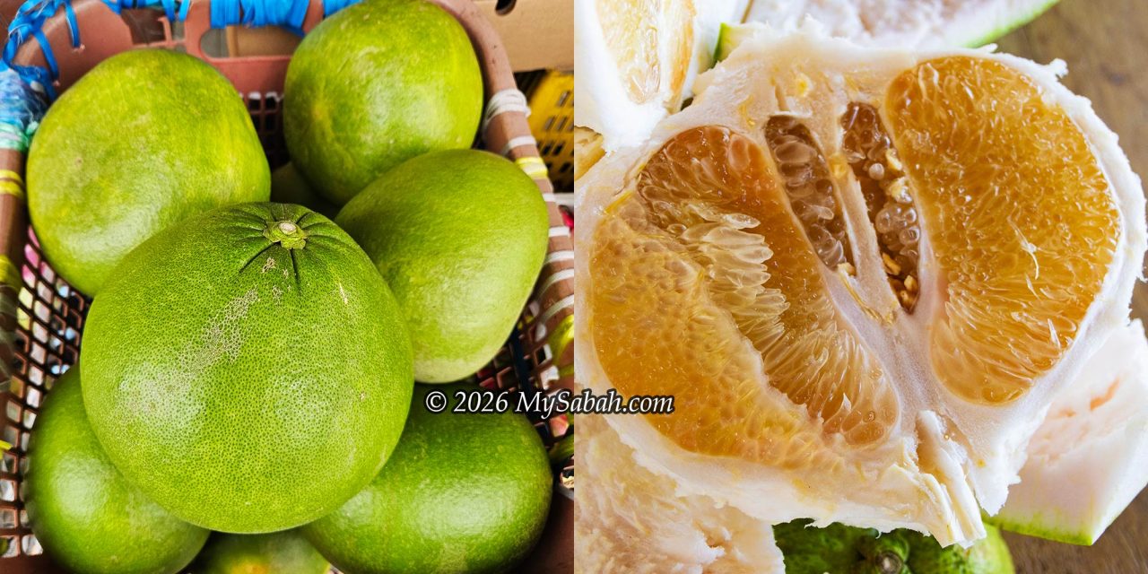Pomelo of Tenom