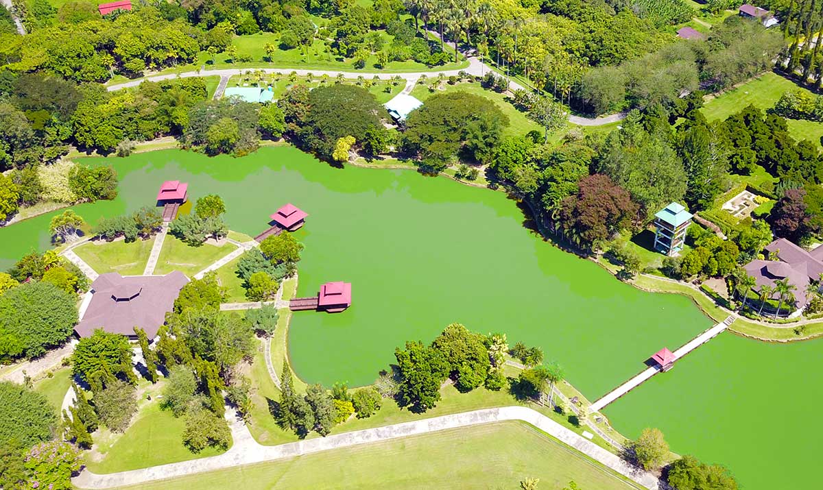 Lake of Sabah Agriculture Park (Taman Pertanian Sabah)