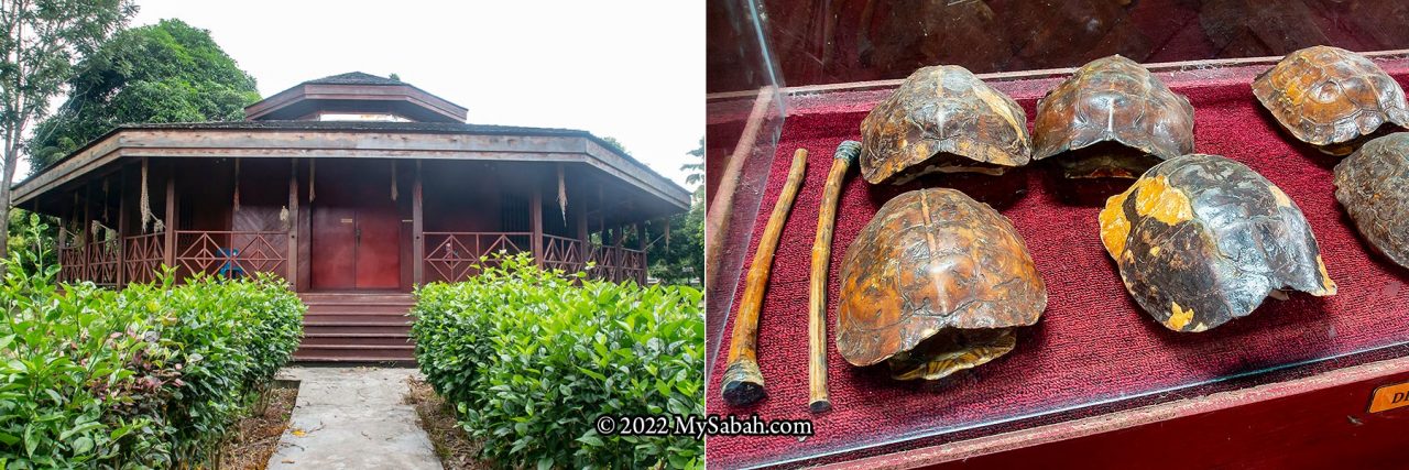 Exhibition hall and tortoise shell idiophones