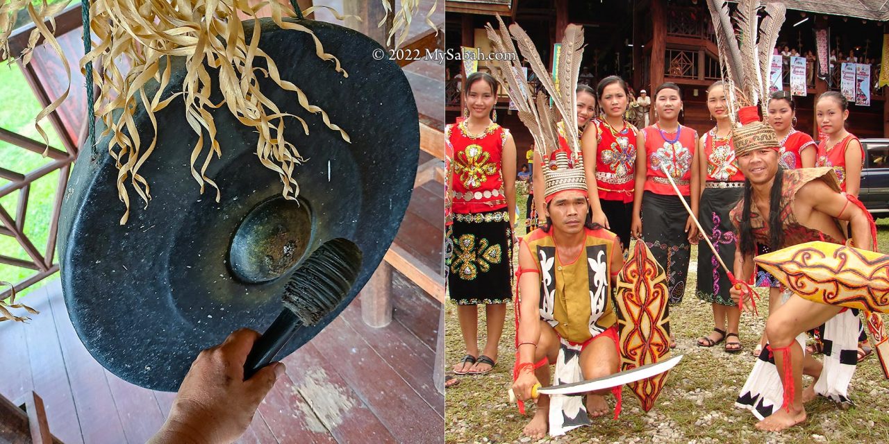 Beating the gong to announce your friendly visit to a longhouse, or the headhunters will take care of you. Just kidding