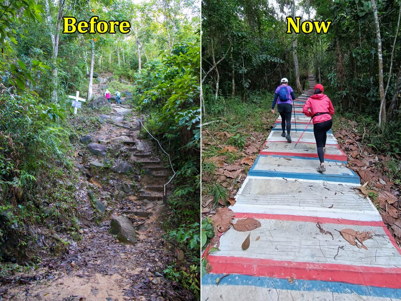 Old vs New trail of Bukit Perahu