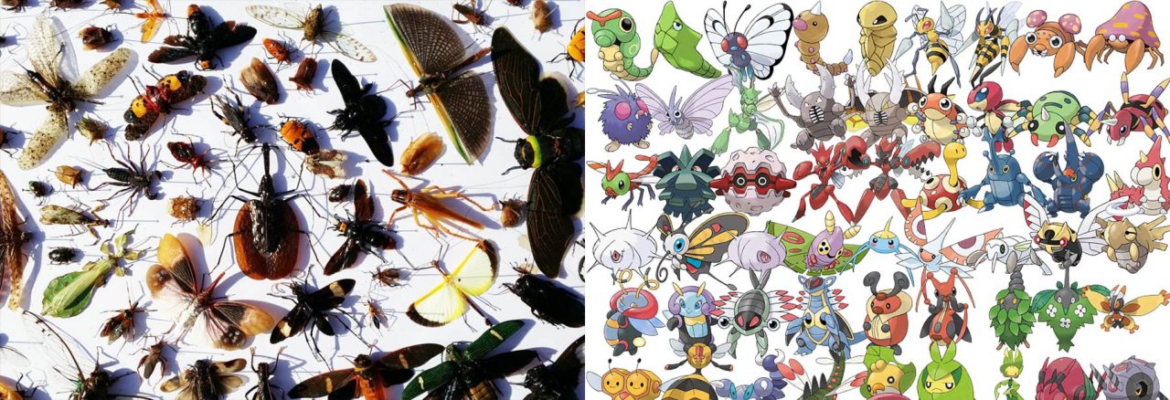 Real insects vs Pokemon Bug