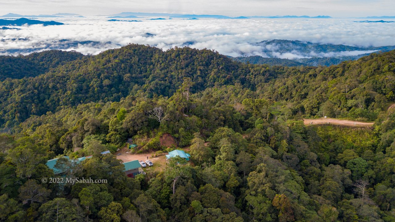 Borneo Jungle Girl Camp and its natural surrounding