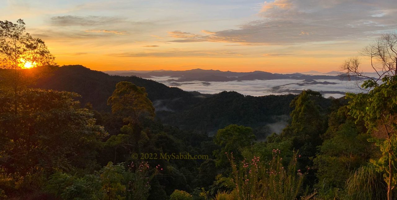 Sunrise at Borneo Jungle Girl Camp