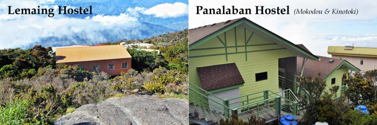 Left: Lemaing Hostel, Right: Panalaban Hostel (Mokodou & Kinotoki)