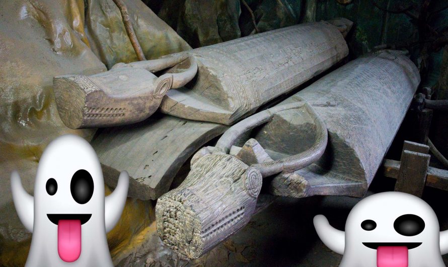 Ancient Ghosts from the Coffin Hill of Kinabatangan (True Story)