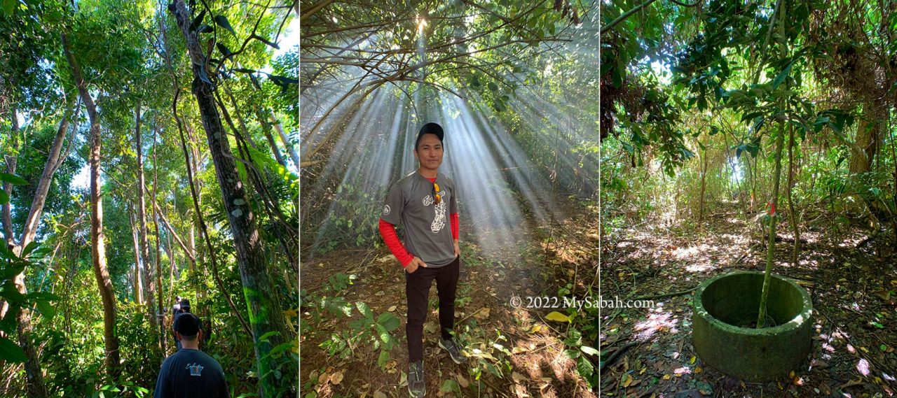 Left: dense forest of Sulug Island. Middle: sun rays through the tree gaps. Right: an old well of the bygone village