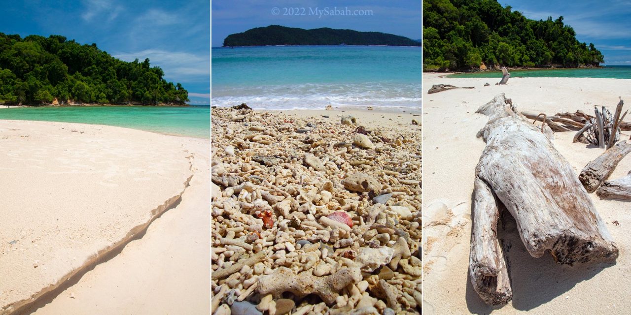 The sand, corals and drift wood on the beach of Sulug Island