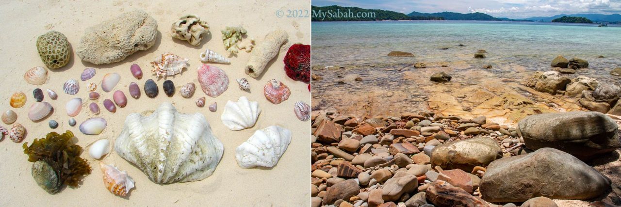 Left: seashells and corals of Sulug Island. Right: the rocky shore of Sulug Island