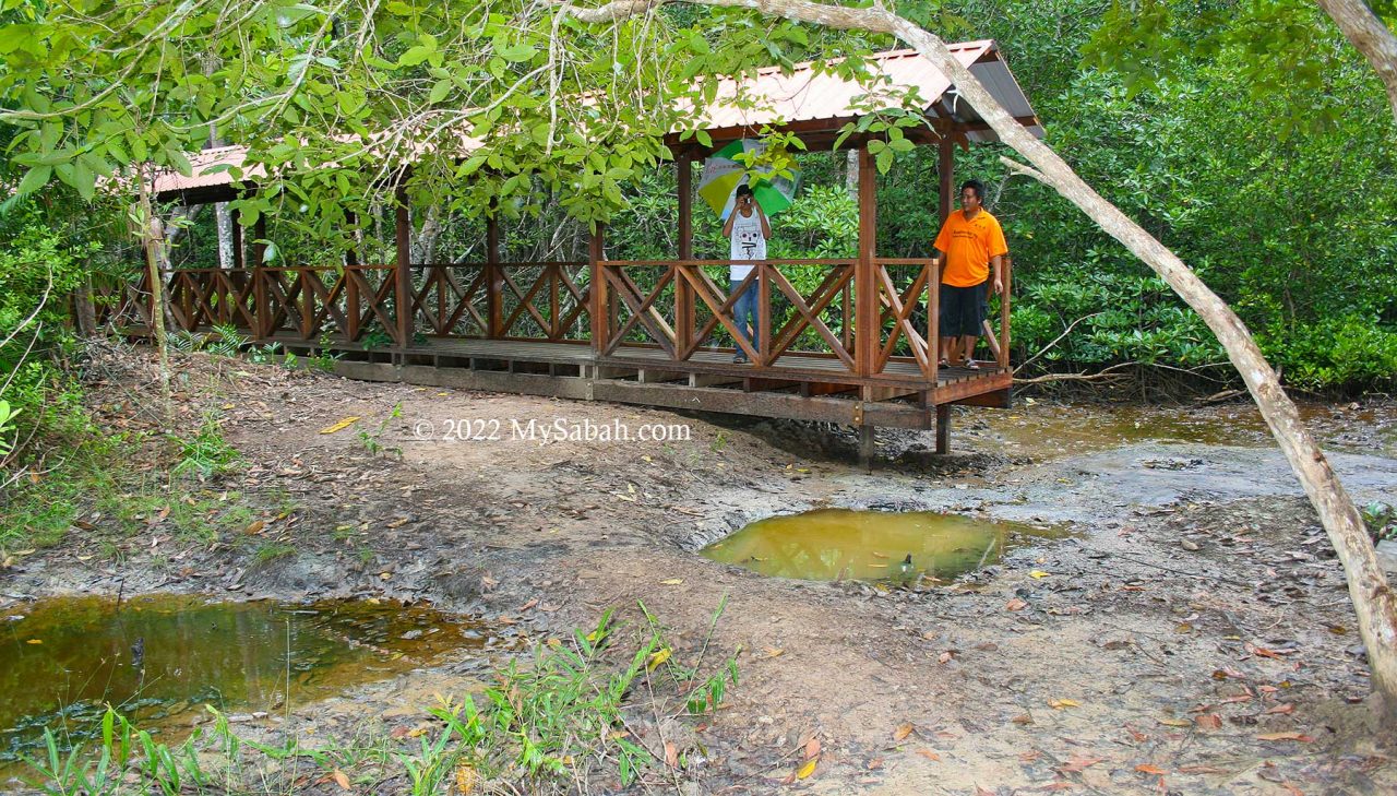 Oil seepages of Kampung Minyak