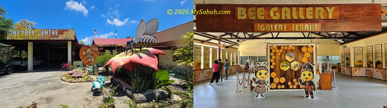 Borneo Honeybee Centre in Kudat