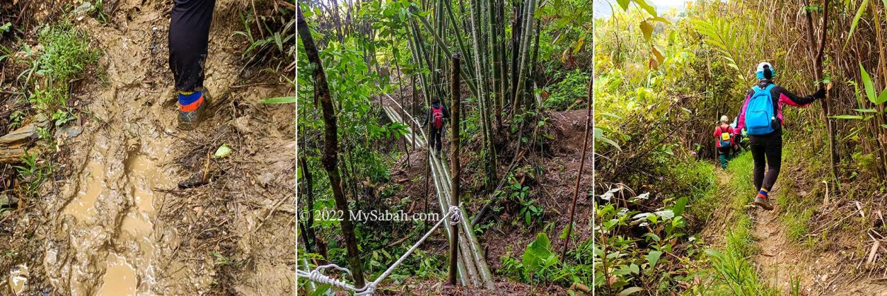 Left: muddy trail, Middle: bamboo bridge, Right: trail near the local plantation