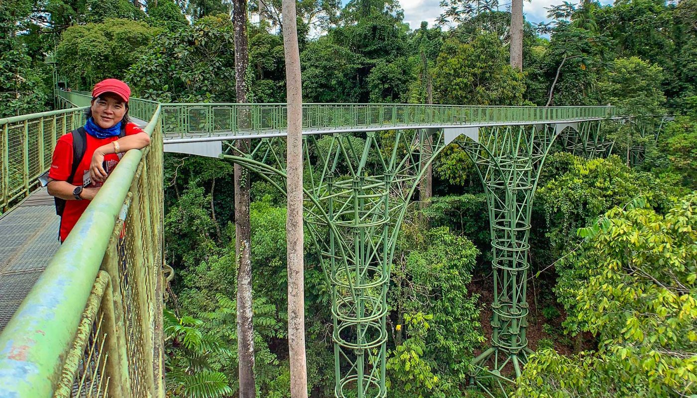Rainforest Skywalk of Rainforest Discovery Center (RDC)
