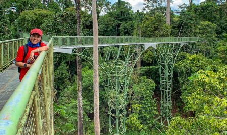 Rainforest Skywalk of Rainforest Discovery Center (RDC)