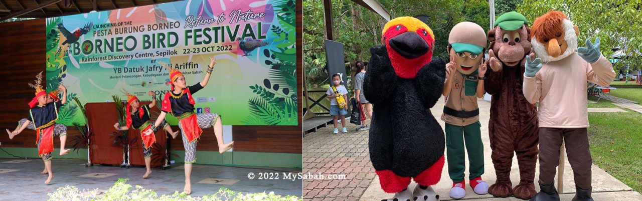 Borneo Bird Festival