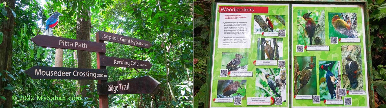 Trail signages and interpretation panel of birds in RDC