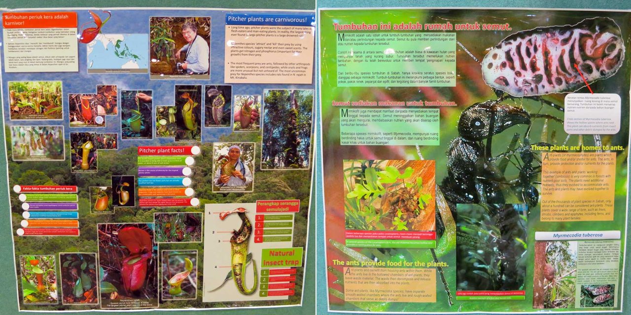 Information about flora & fauna of Borneo (available in both English and Malay languages)