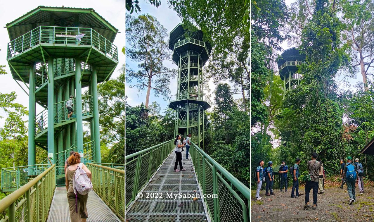 Towers of Rainforest Discovery Center (RDC)