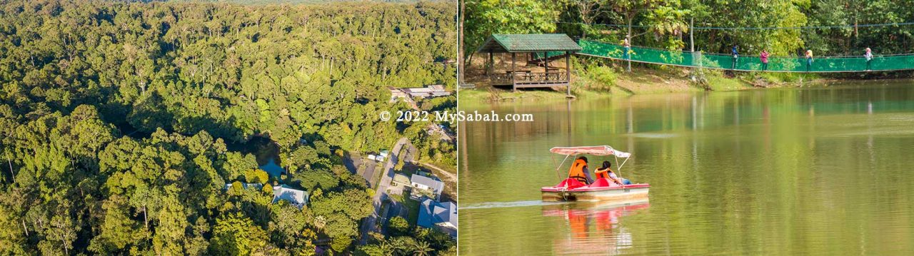 Rainforest Discovery Center and the adjacent Sepilok-Kabili Forest, and the lake