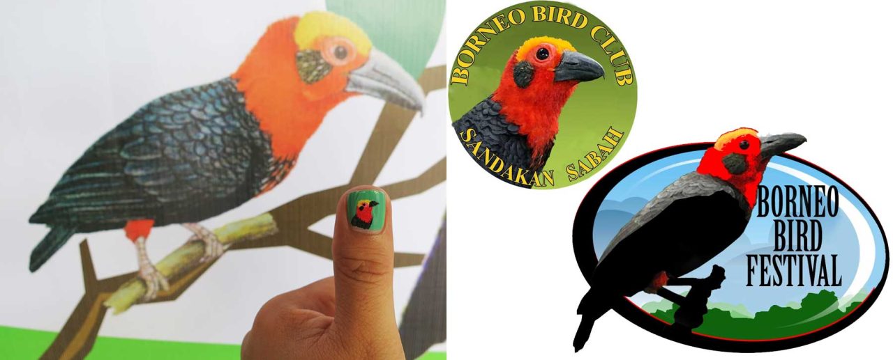 Bornean Bristlehead as an icon of Borneo birds