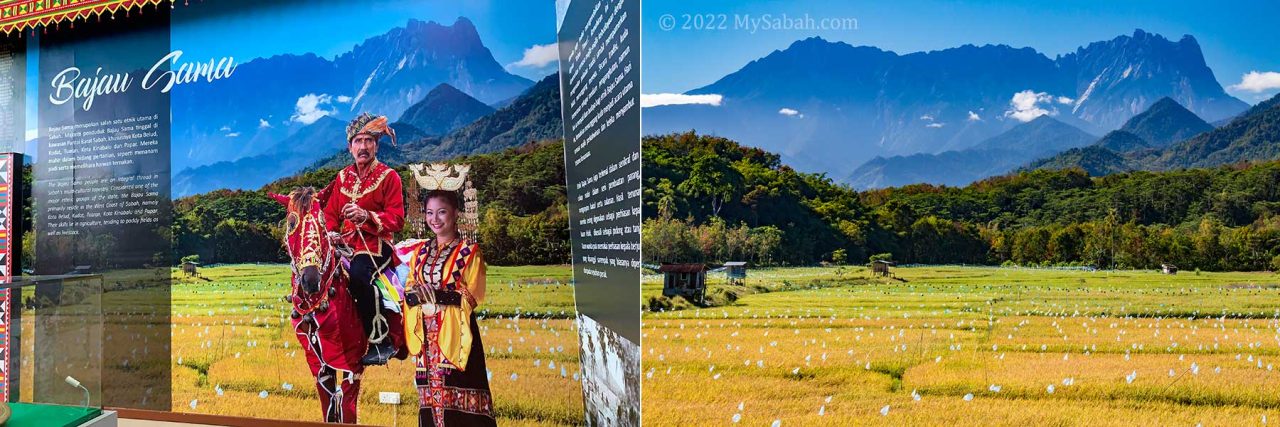 Bajau Sama couples with Mount Kinabalu backdrop