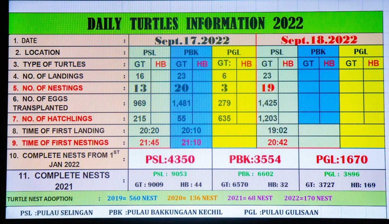 Daily scoreboard of records on turtle landing and number of eggs collected