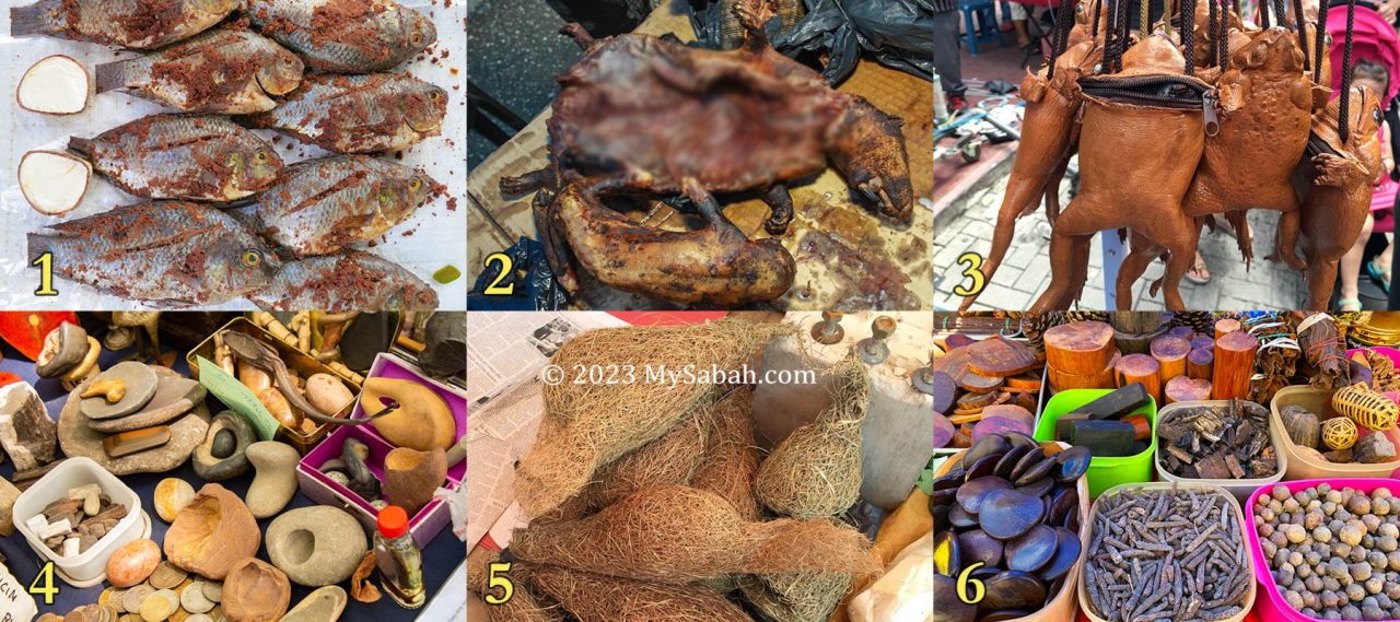 1. Fishes fermented by grounded pangi seeds (look dirty but very delicious actually), 2. Bush meat, 3. Giant toad purse, 4. Magic rocks? 5. Weaver bird nests, 6. Various wood and herbs