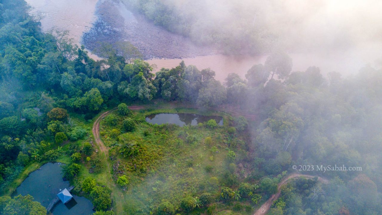 Sapulut River and the agroforestry farm of MunorAulai Guesthouse