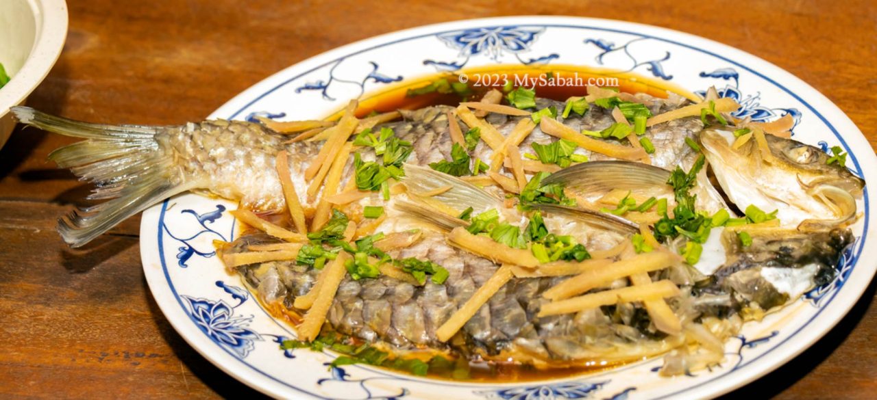 Steamed pelian fish