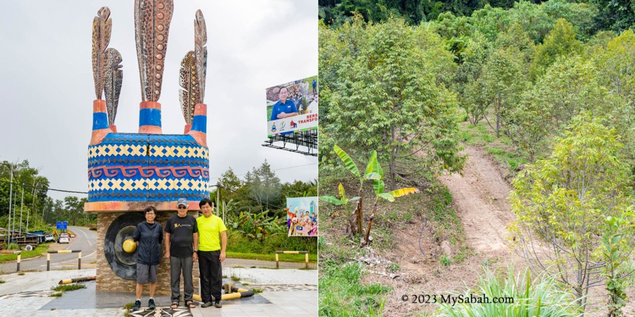 Dr. Richard Gunting and durian plantation