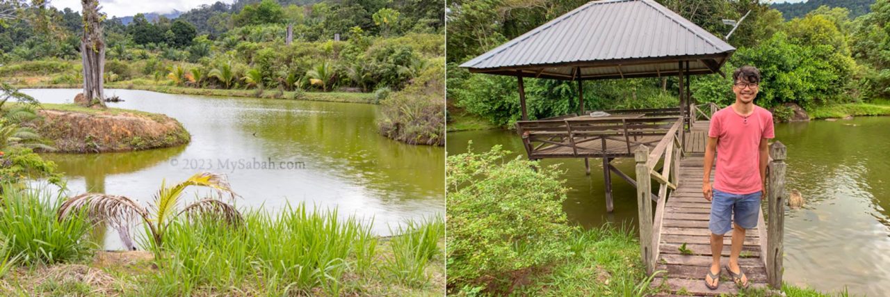 Fish ponds at MunorAulai Guesthouse