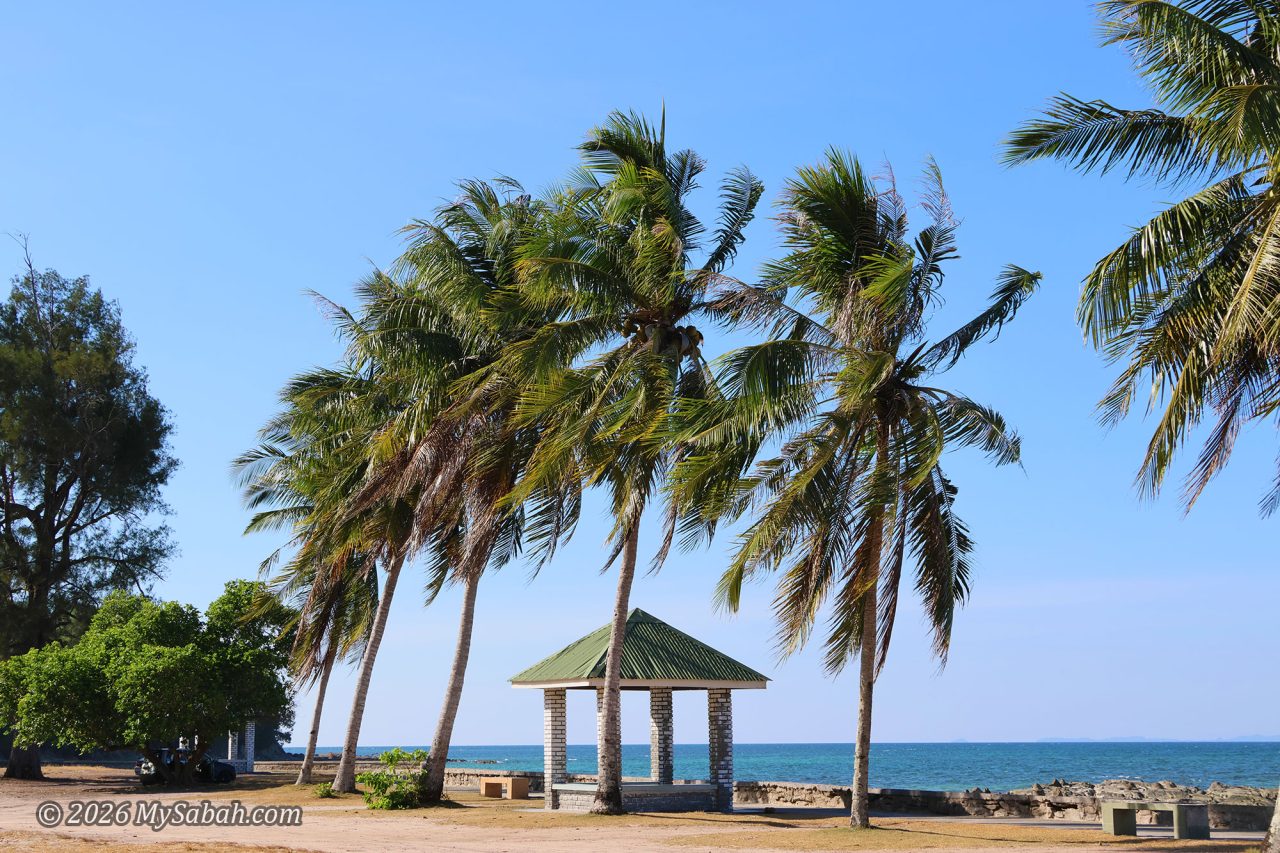 Gazebo and coconut trees at Bak-Bak Beach, Kudat