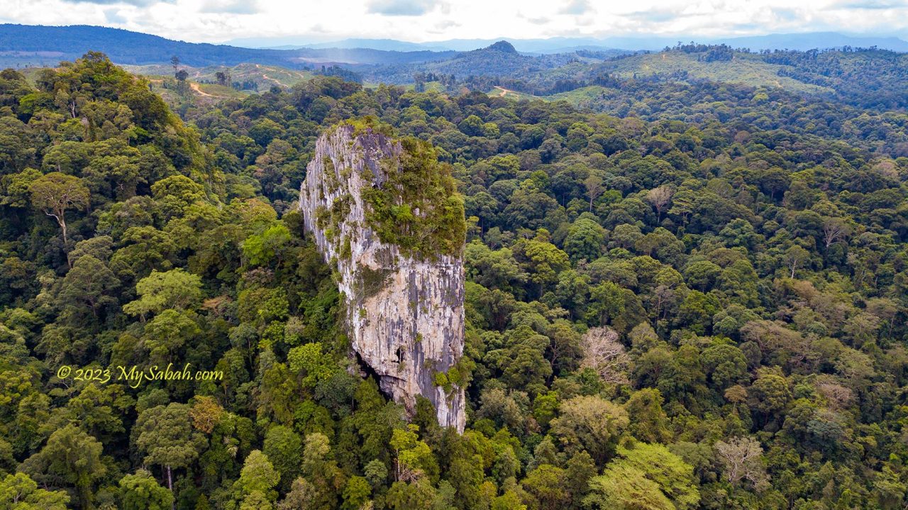 Batu Punggul limestone pinnacle