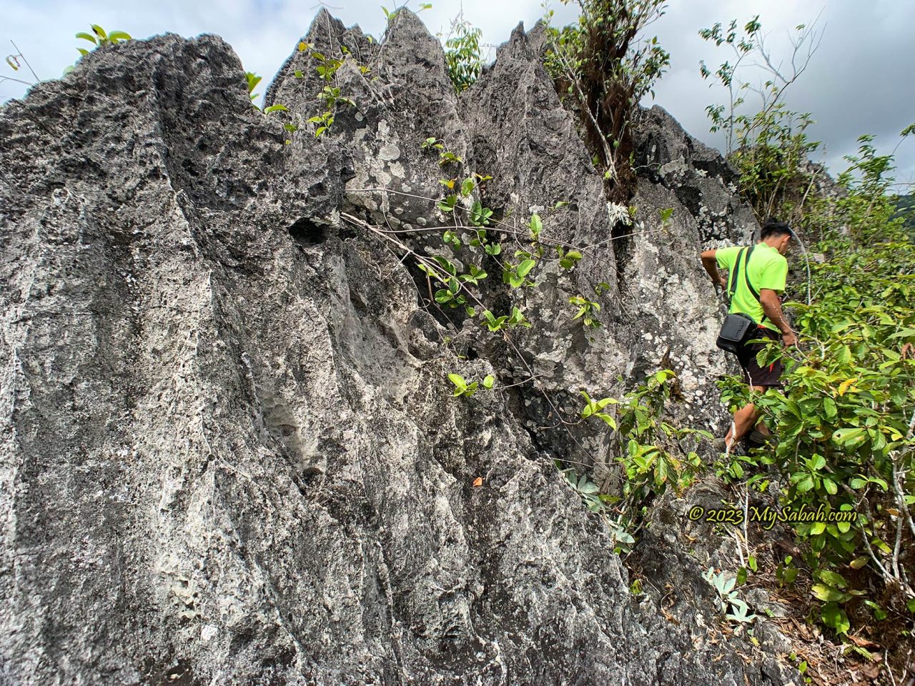 The jagged limestone on top of Batu Punggul