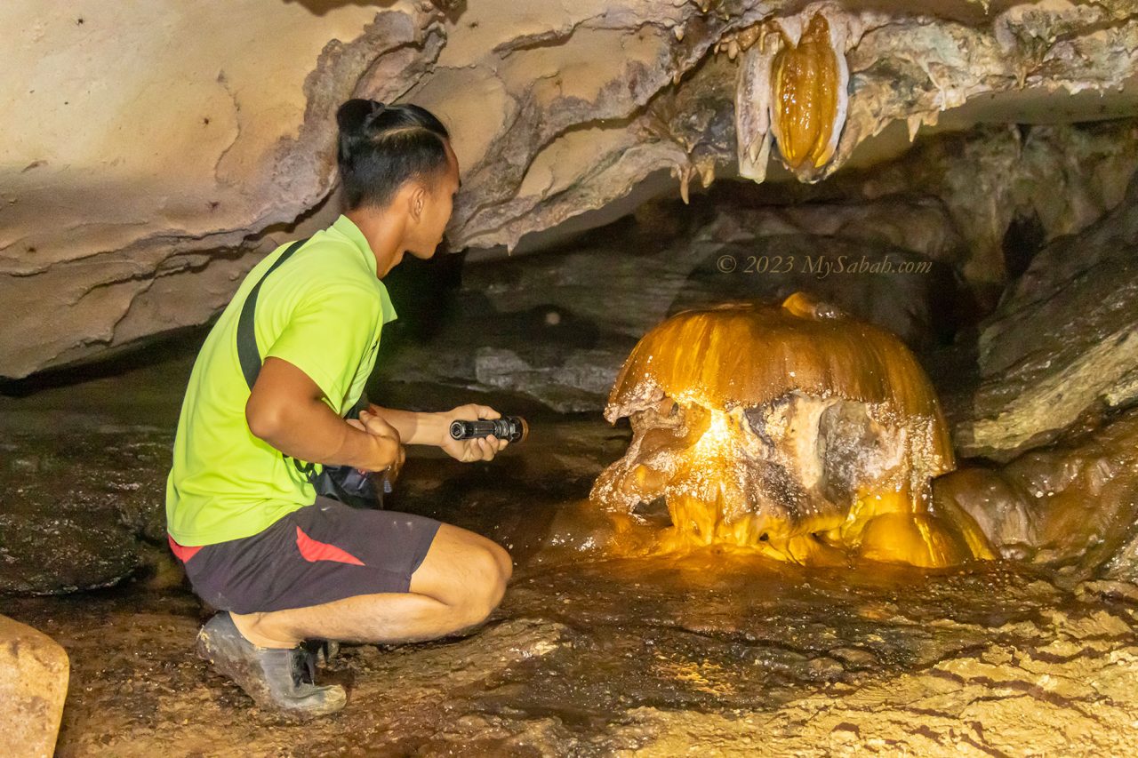 Mushroom-like limestone rock formation