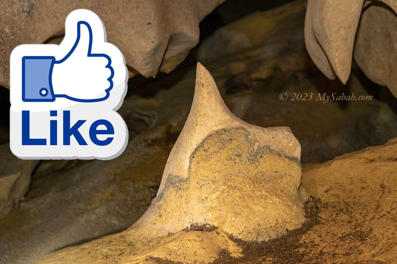A rock that looks like Facebook thumbs-up Like