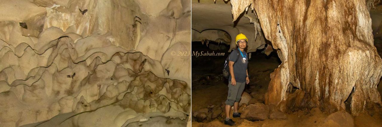Left: bats in Pungiton Cave. Right: thousand-years-old rock formation