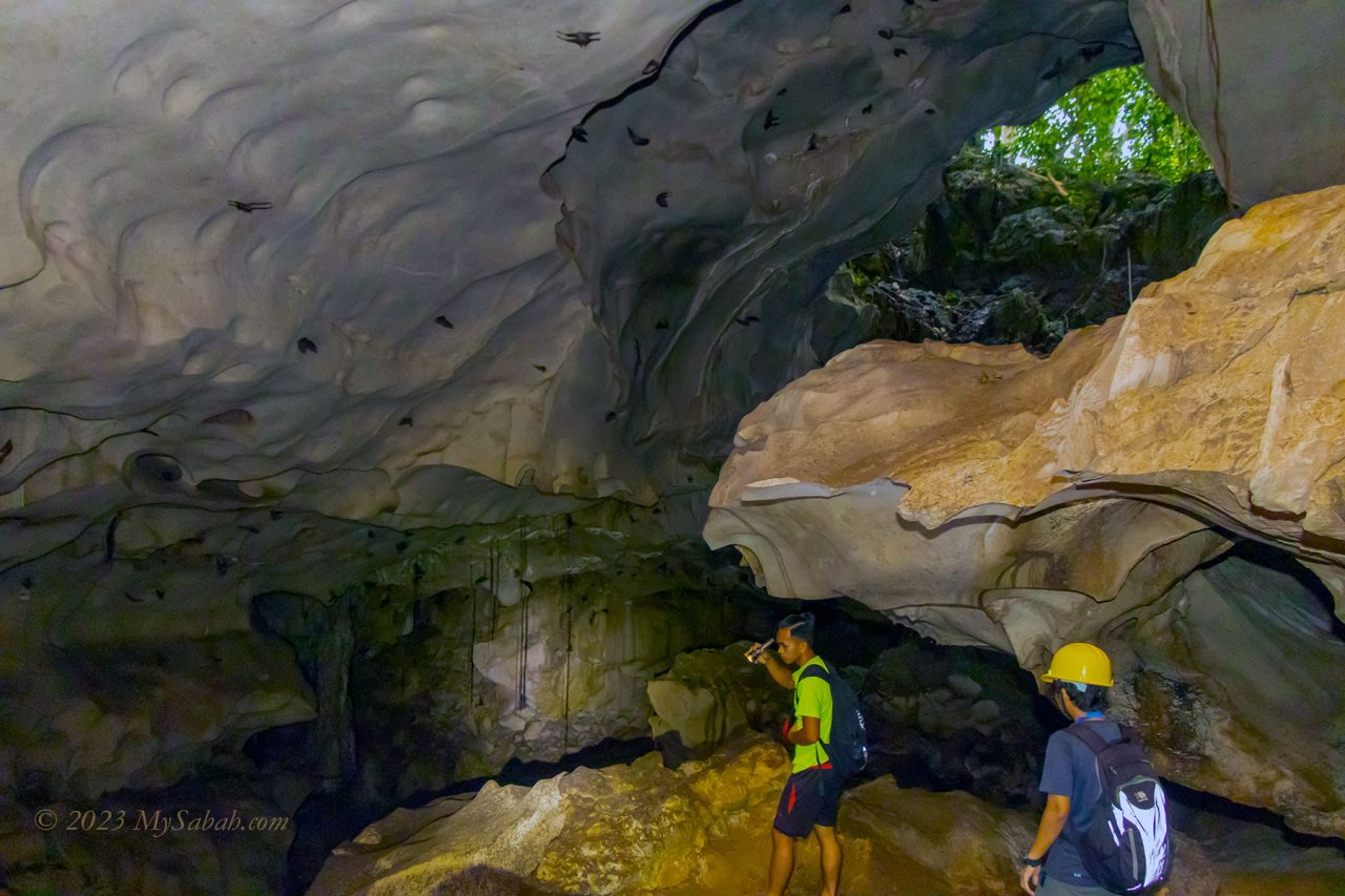 Pungiton Cave and bats