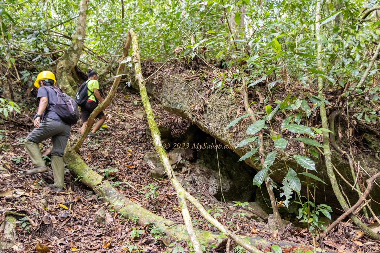 Hiking to the Pungiton Cave in tropical rainforest