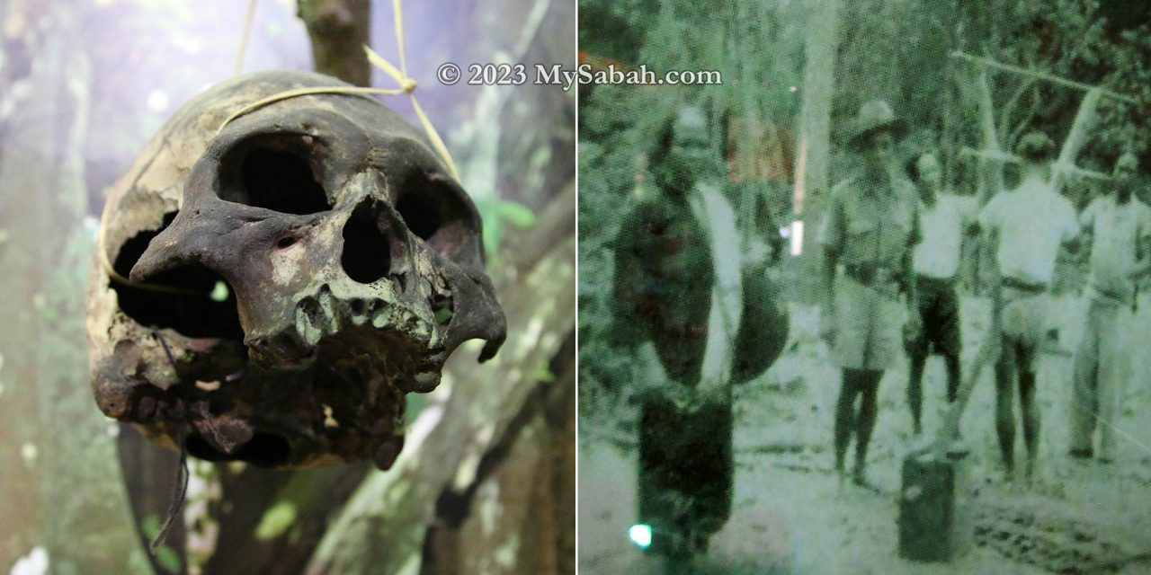 Left: skulls displayed in Sabah Museum. Right: old photograph of people dismantled the hut used for hanging heads