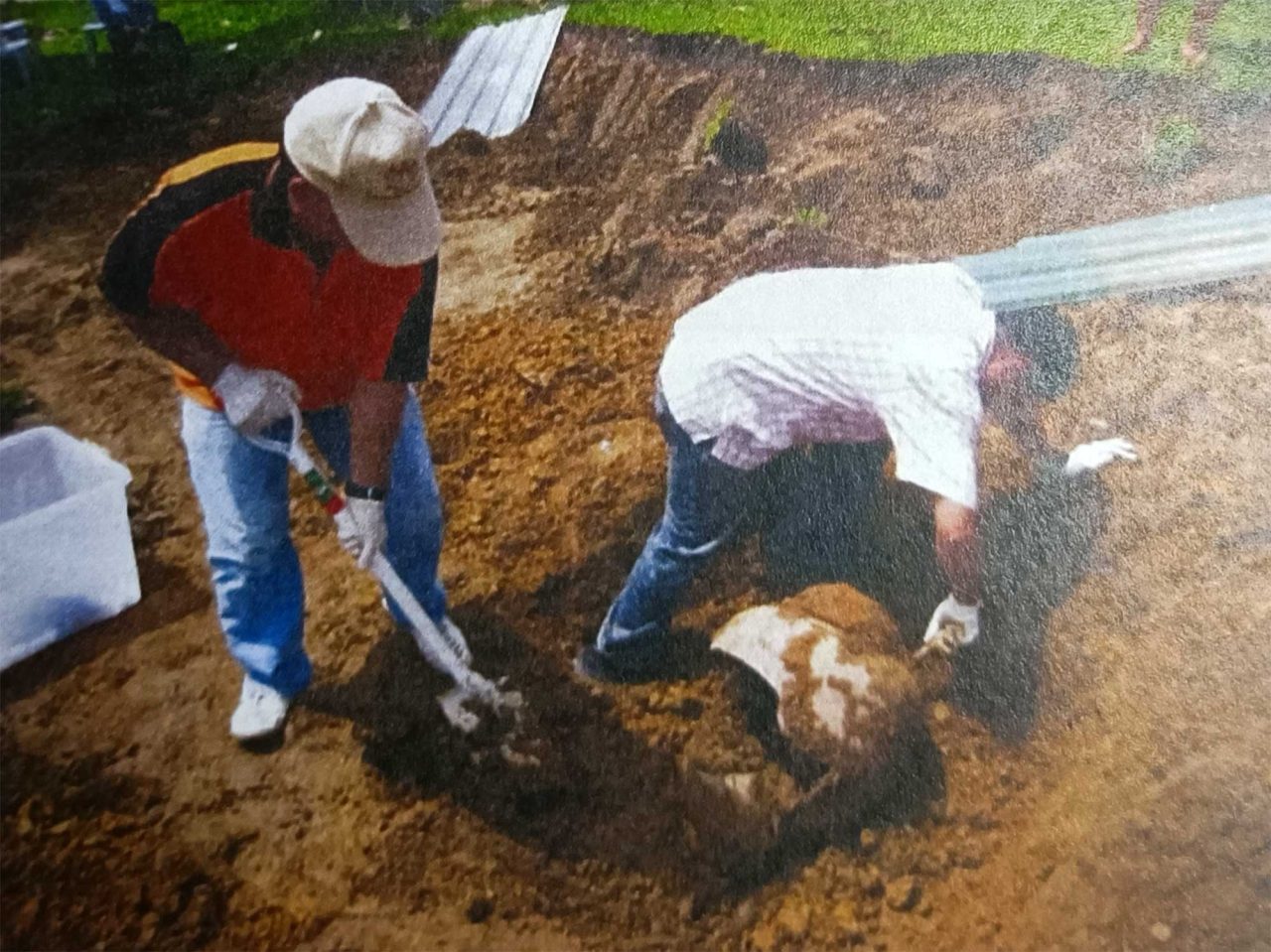 Excavations at Pogunon