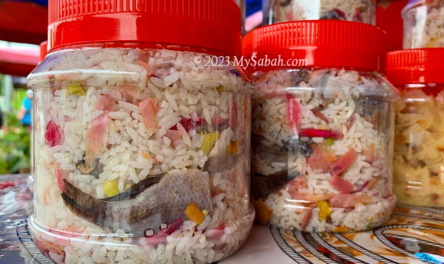 Nonsom / Bosou, the Pickled Food of Sabah