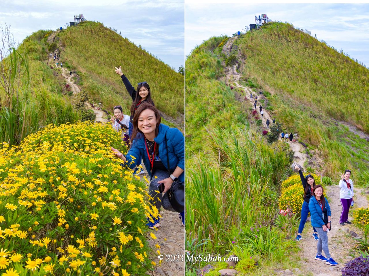 Flowers and ornamental plants along the trail to the peak of Sosodikon Hill